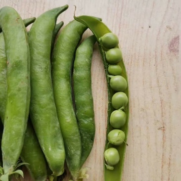精品青碗豆，白碗豆，甜豆大量上市，