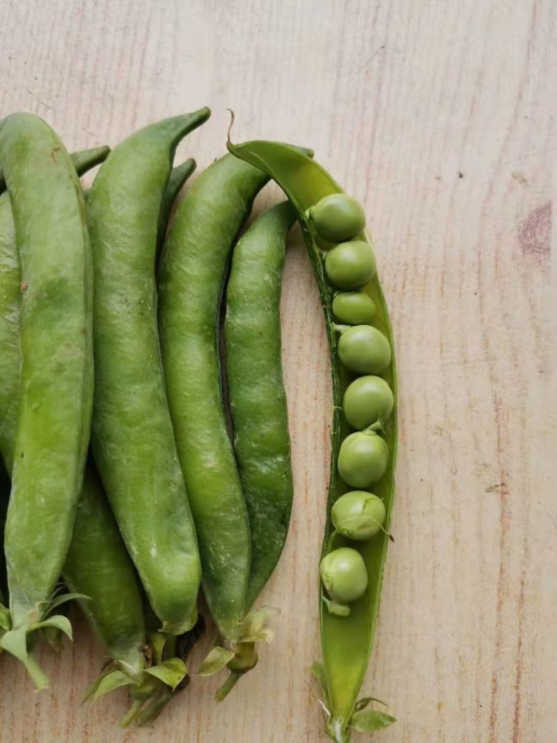 精品青碗豆，白碗豆，甜豆大量上市，
