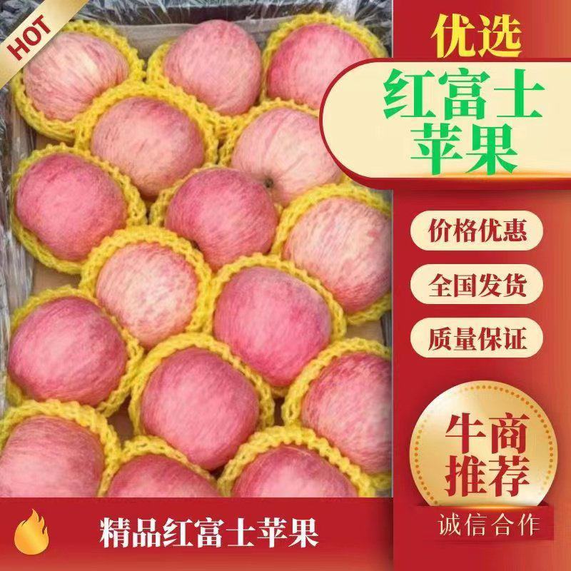 陕西精品红富士苹果产地直销纸袋红富士苹果