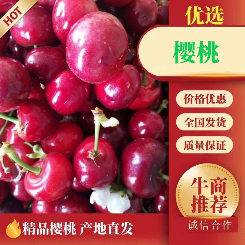 陕西精品大棚樱桃产地价格批发，一手货源。