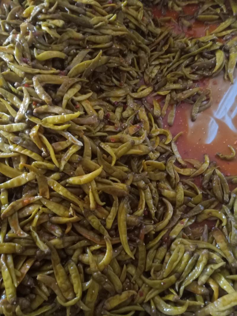 本公司经营剁椒，豆瓣酱，小米辣，各种咸菜