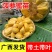 菠萝蜜苗树苗四季当年结果木菠萝嫁接苗马来黄肉南方种植盆栽