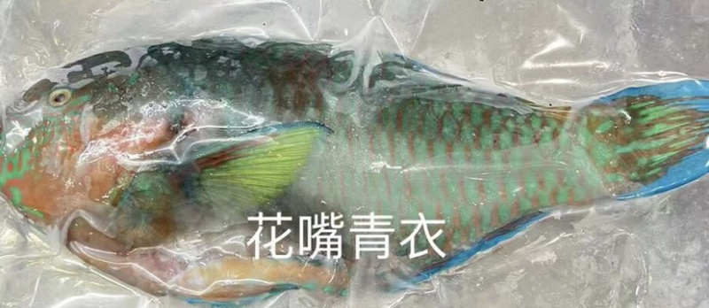 海南基地代购.各种海鲜产品，椰子.全国发货。