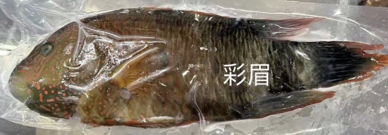 海南基地代购.各种海鲜产品，椰子.全国发货。