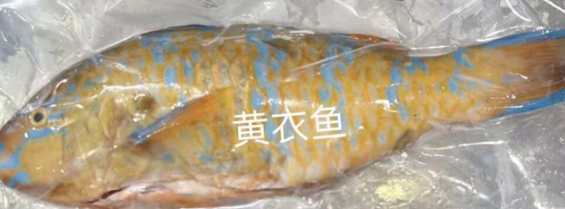 海南基地代购.各种海鲜产品，椰子.全国发货。