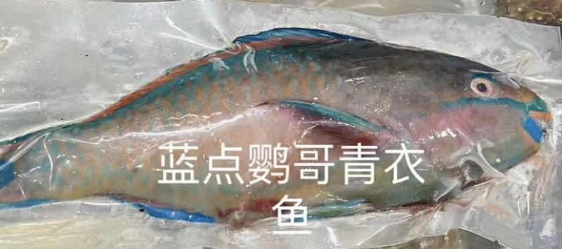 海南基地代购.各种海鲜产品，椰子.全国发货。