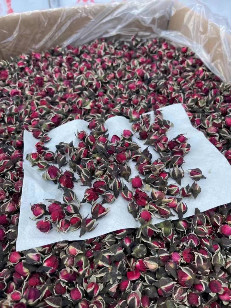 七彩菊新货颜色好各种养生花茶中药材批发诚信经营