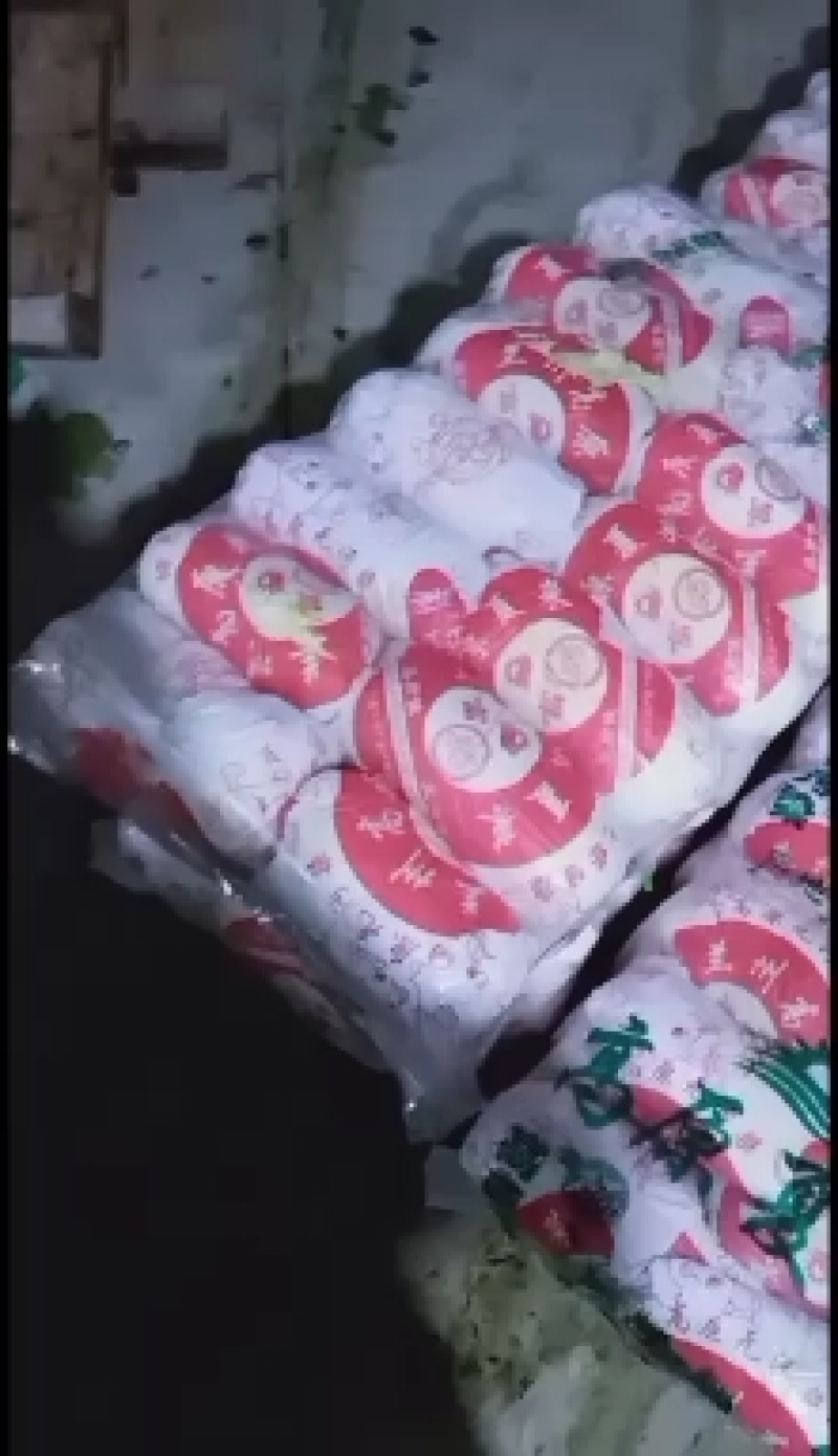 娃娃菜大量上市中，有冷库有厂地。