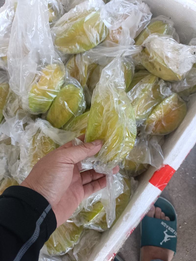 福建漳州杨桃现摘现发，货源充足，淮玉果香基地直供