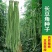 特长高产豆角种子春秋早熟农家豇豆种籽四季新品蔬菜种子大全