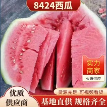 安徽砀山西瓜精品8424西瓜甘甜可口产地直供货源充足