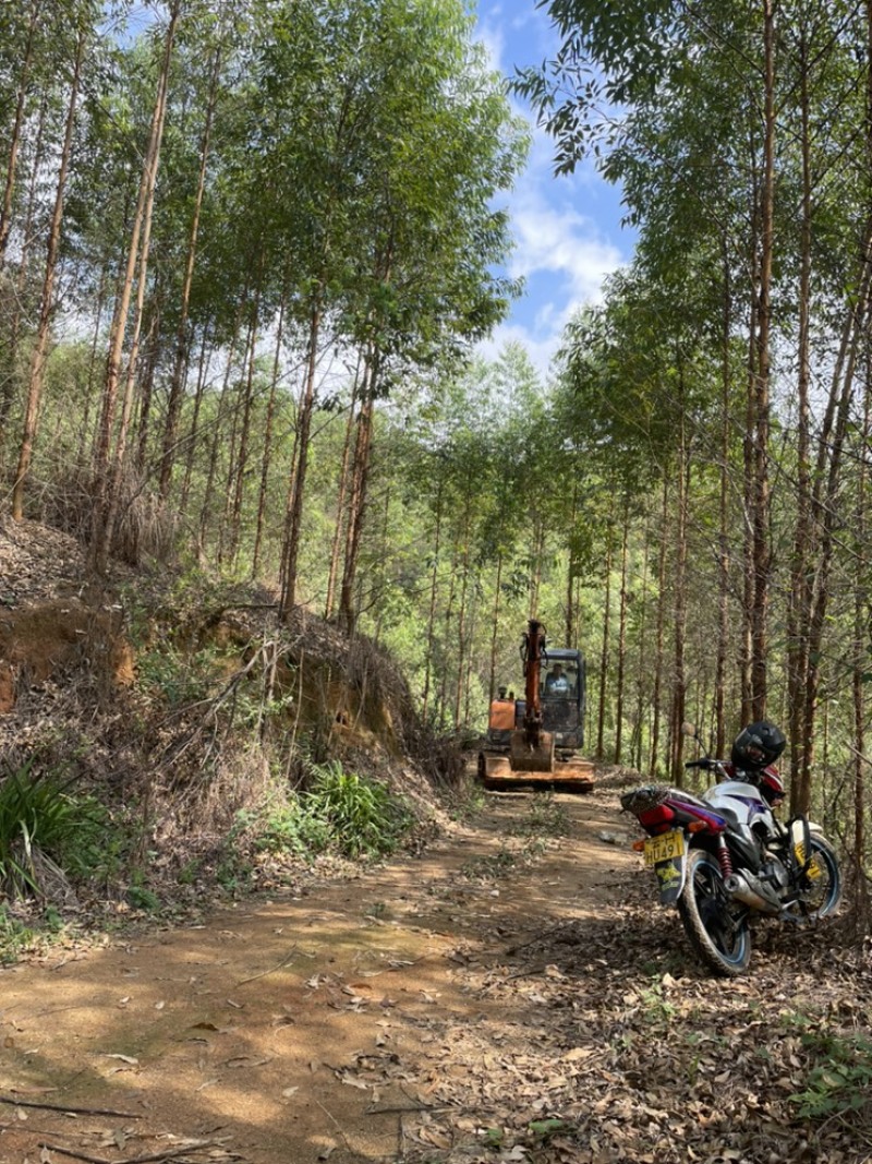 广东新兴、肇庆、江门低价出租山地适用于发展林下经济