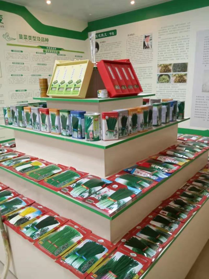 (上品）久星22号韭薹，韭苔种子薹期长，高产优质，春季早发