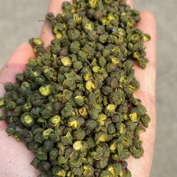 青花椒全干货开口好颜色绿口感麻香味浓江湖地摊货源批发