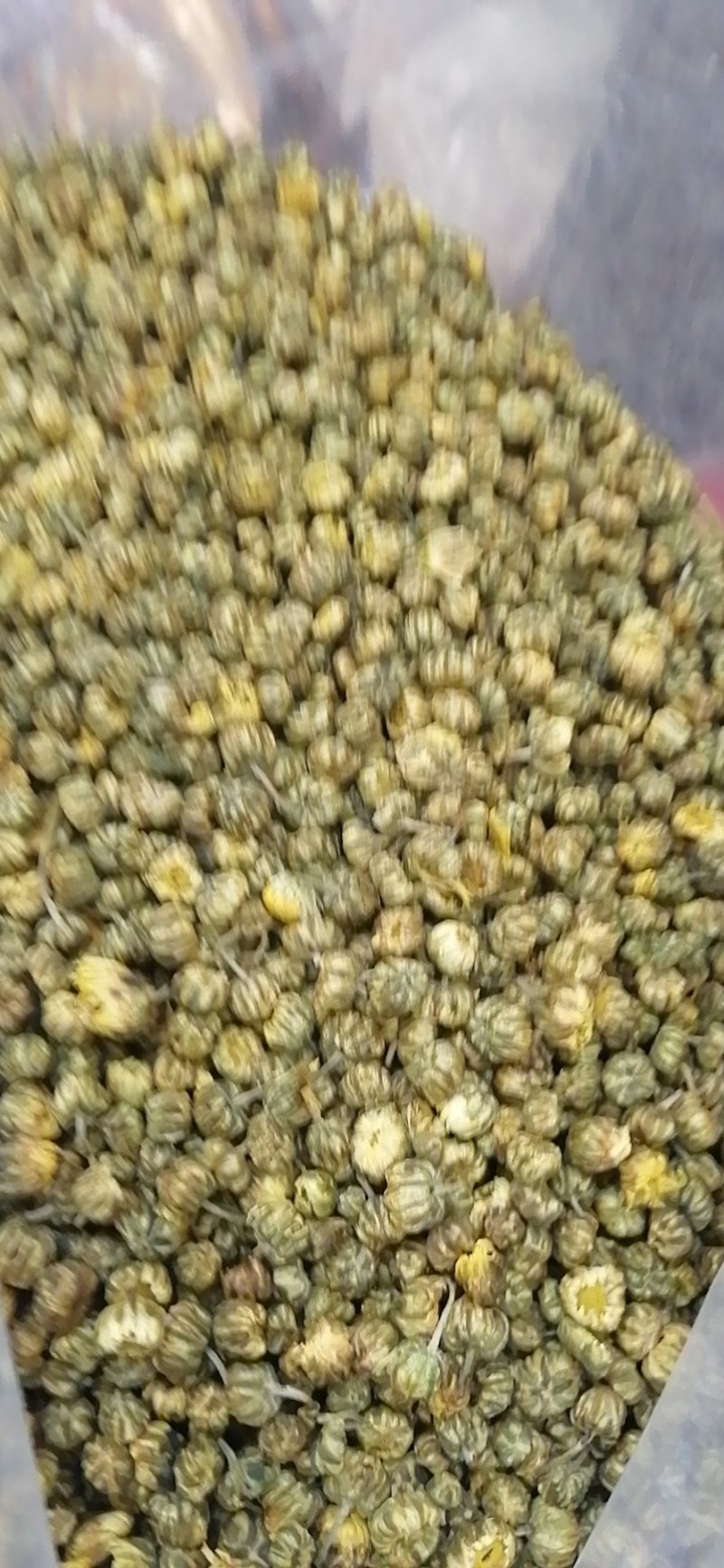 胎菊王，胎米，5斤起包邮，不苦不辣，