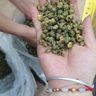 胎菊王，胎米，5斤起包邮，不苦不辣，