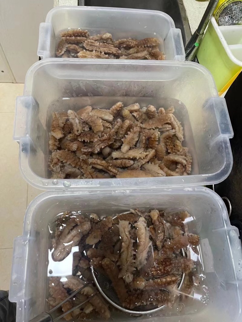 【推荐】北海小刺参白菜价产地直发品质保证诚信经营欢迎联系