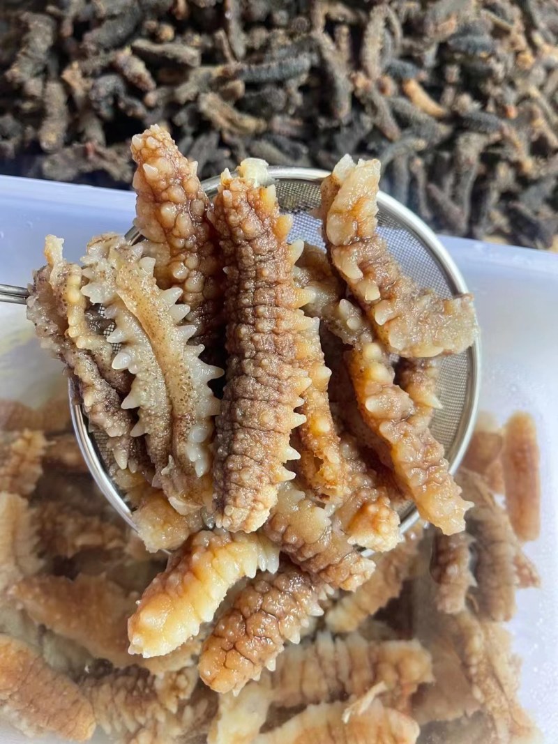 【推荐】北海小刺参白菜价产地直发品质保证诚信经营欢迎联系