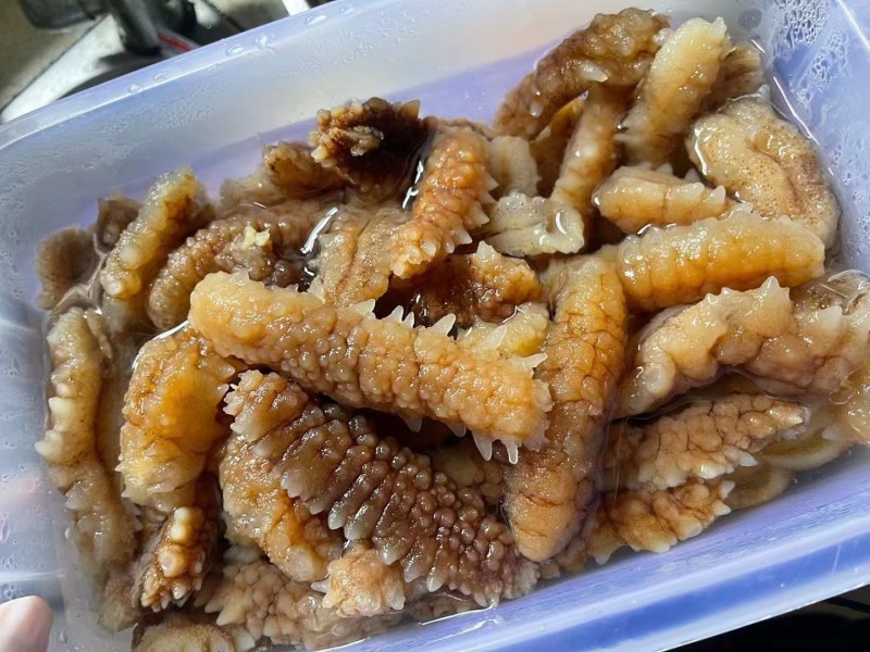 【推荐】北海小刺参白菜价产地直发品质保证诚信经营欢迎联系