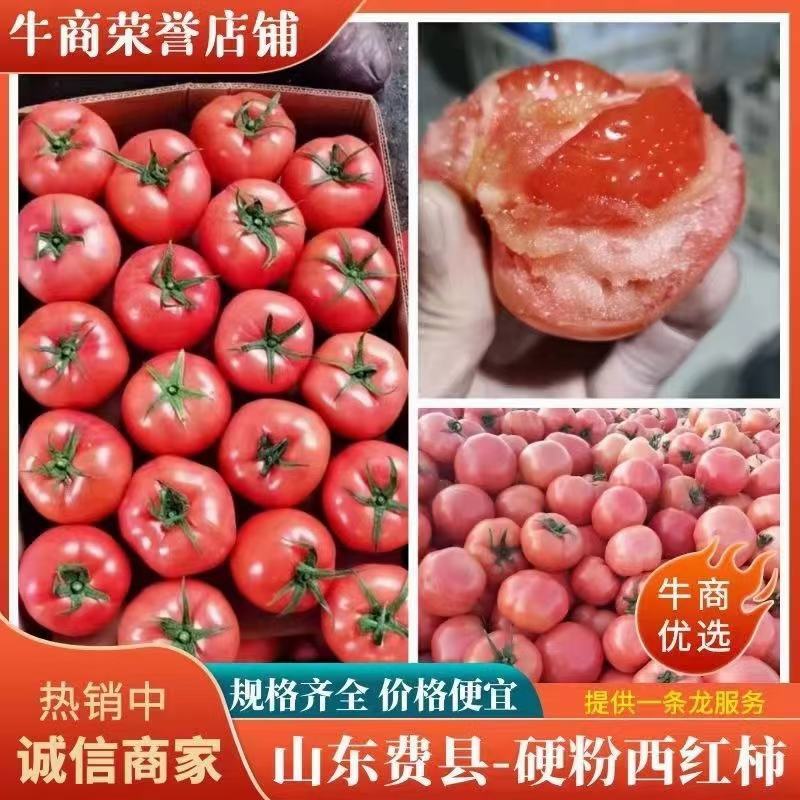 山东硬粉西红柿，产地直发，一手货源，量大从优