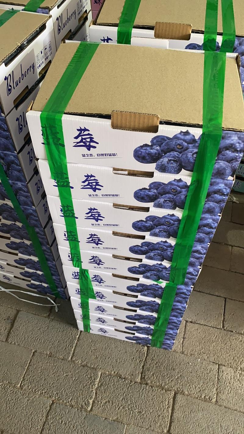 蓝莓🫐大量有货、货源充足，全国各地都可以发货
