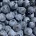 蓝莓🫐大量有货、货源充足，全国各地都可以发货