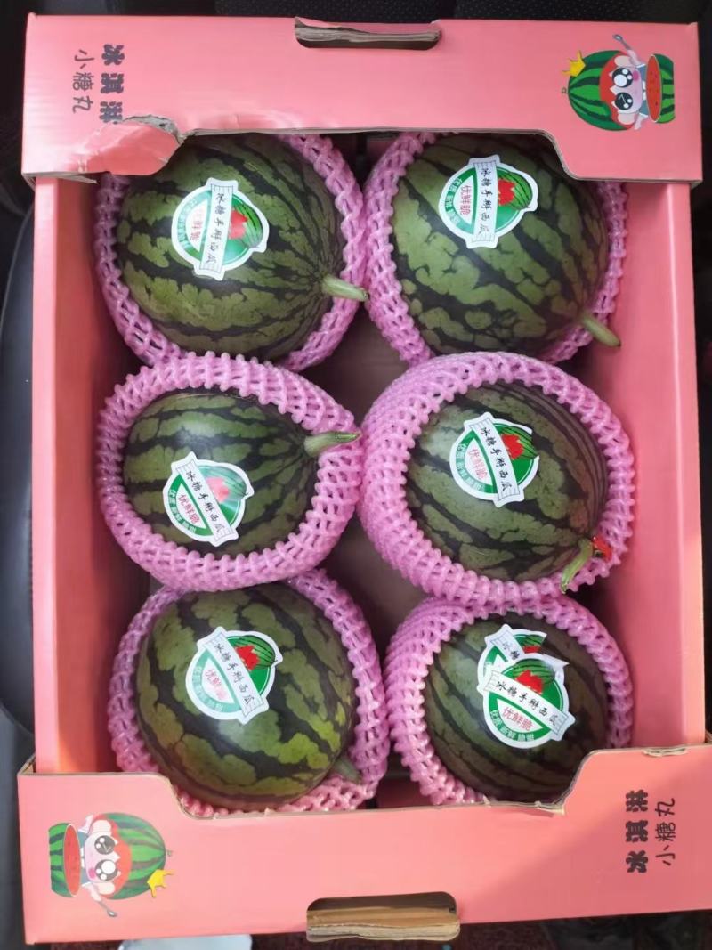 小糖丸礼品瓜，2K西瓜，冰糖子西瓜，甜瓜小吊瓜，原棚好瓜