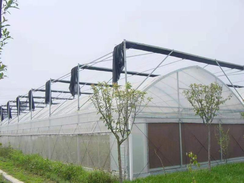 养殖大棚，种植大棚，暖棚，连体棚