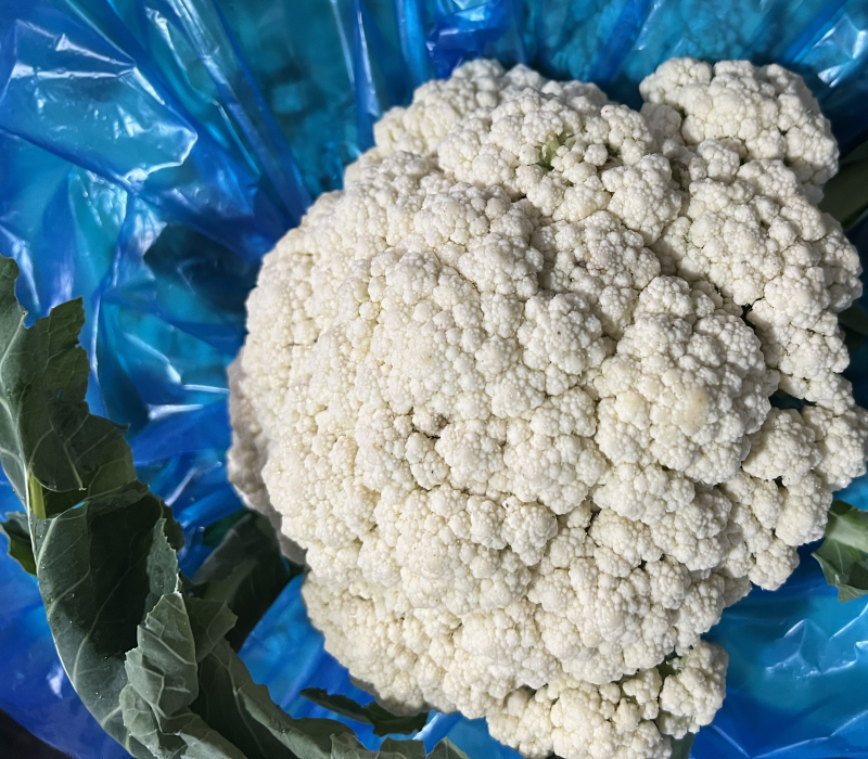 苏州常熟有机花白花菜精品
