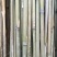 竹竿