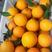 精品脐橙橙子柑橘柑桔产地直发保质保量欢迎订购