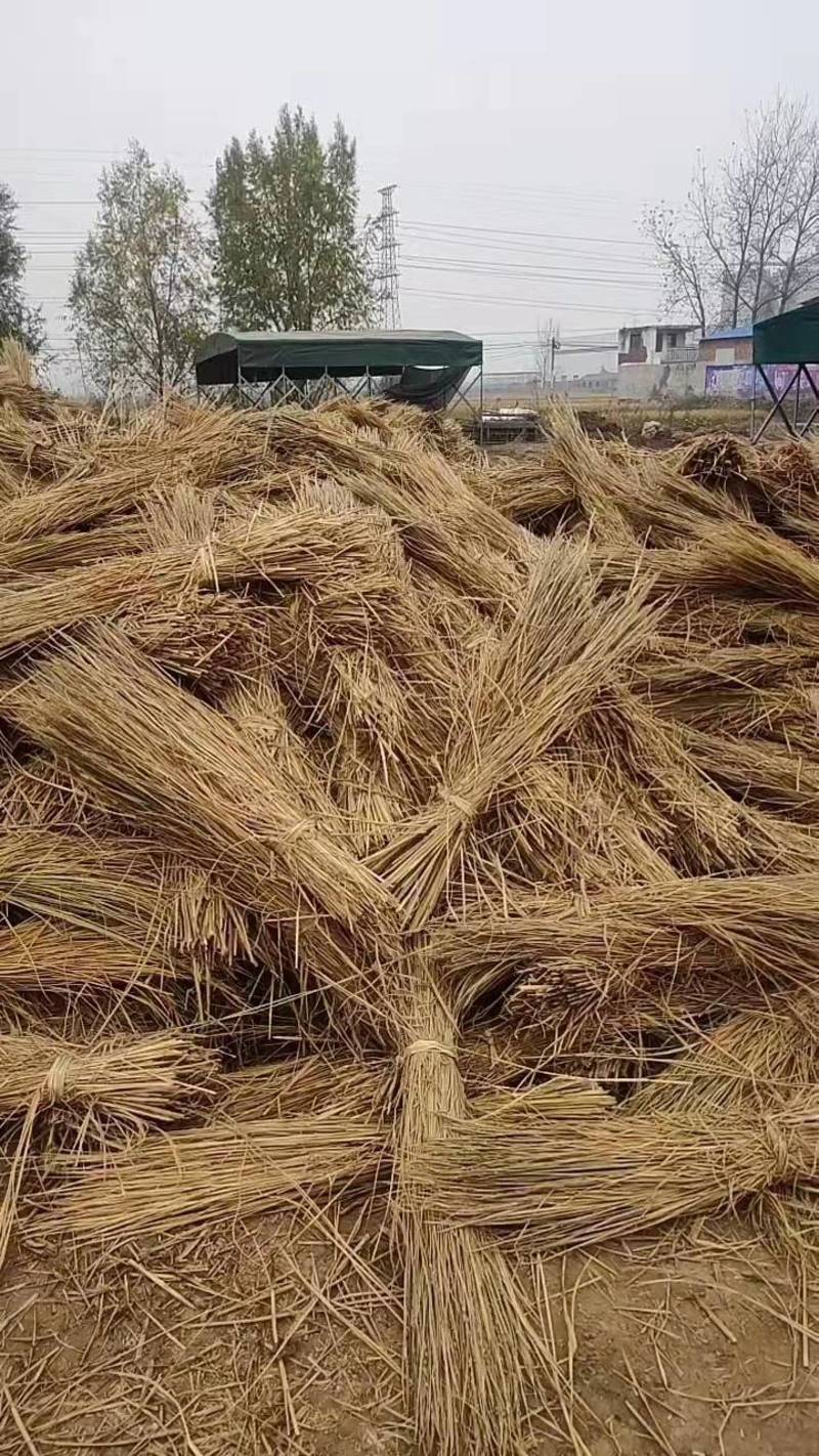 河南省范县稻草纤维生产厂家货源充足可定制