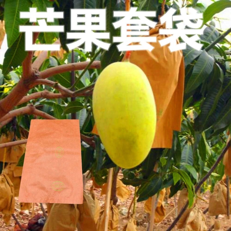 芒果套袋金煌贵妃象芒青芒专用防晒防虫防鸟保护袋