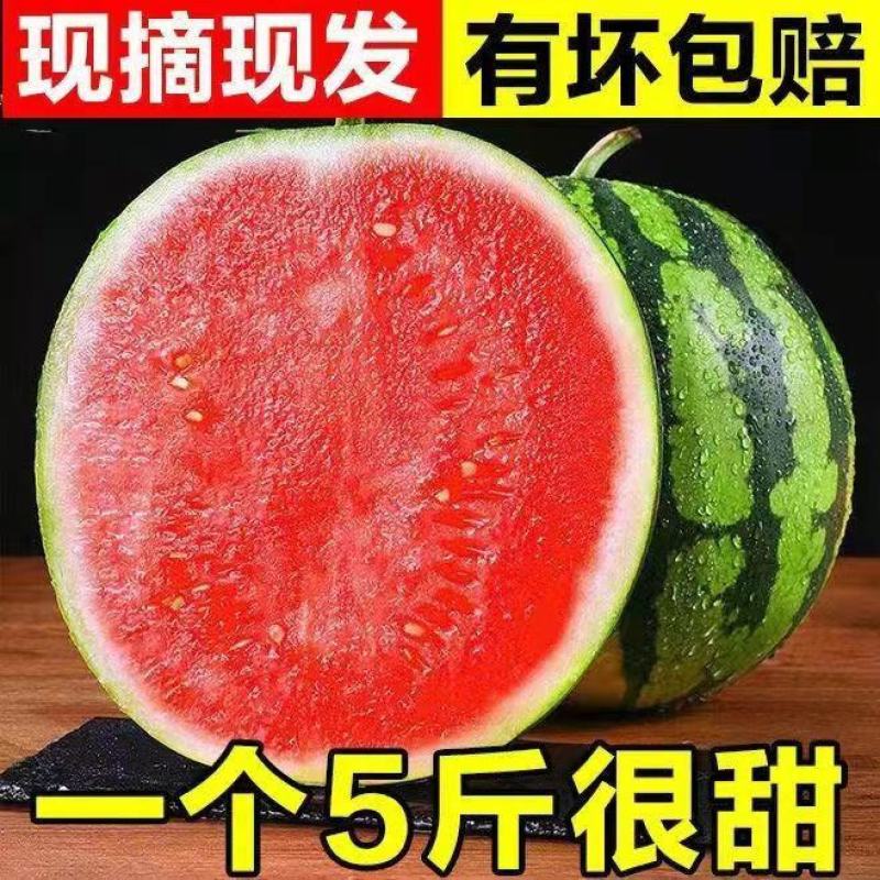 现摘爆甜麒麟西瓜薄皮多汁当应季新鲜水果甜王整箱商用包邮
