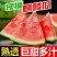现摘爆甜麒麟西瓜薄皮多汁当应季新鲜水果甜王整箱商用包邮