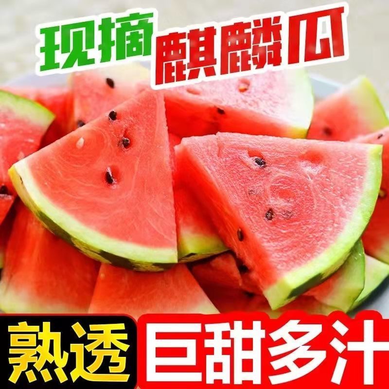 现摘爆甜麒麟西瓜薄皮多汁当应季新鲜水果甜王整箱商用包邮