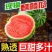 现摘爆甜麒麟西瓜薄皮多汁当应季新鲜水果甜王整箱商用包邮