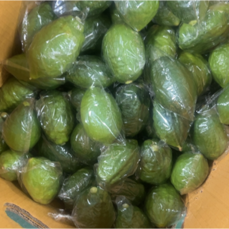一级广东香水柠檬