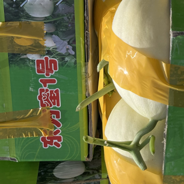 台州东方蜜