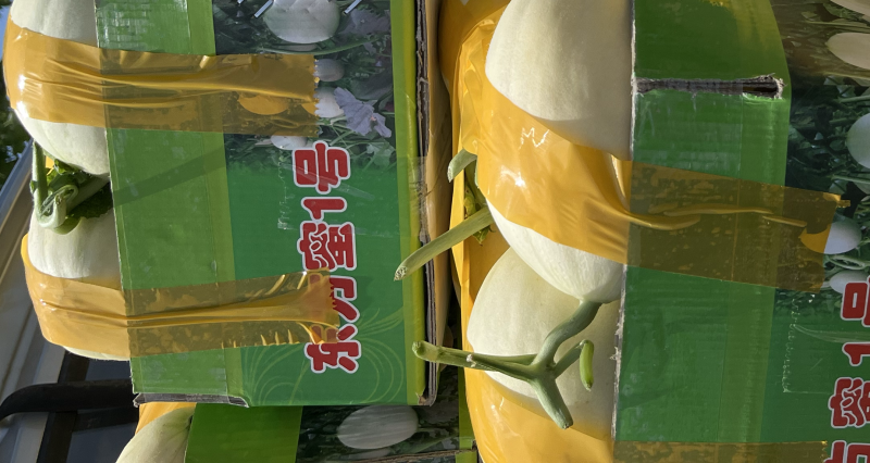 台州东方蜜
