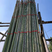 精品大棚竹果树支撑架搭架竹产地直发长期供货价格低