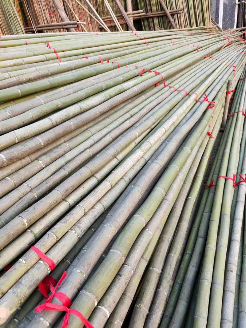 精品大棚竹果树支撑架搭架竹产地直发长期供货价格低