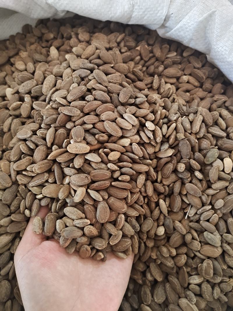 瓜蒌瓜蒌籽单边双边规格齐全无硫无添加剂地道中药材