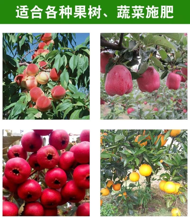 施肥器果树园林施肥器种植施肥器化肥施肥器