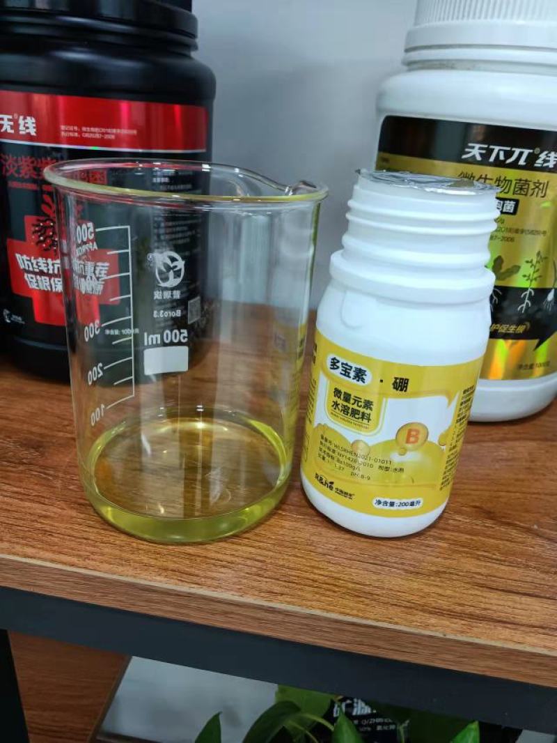 硼肥叶面肥保花保果促进发芽分化