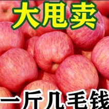红富士苹果大量批发产地，对接电商商超各大批发商一手货脆甜