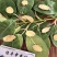 黄芪过筛货干净无杂碎保质保量色泽靓丽优选产品
