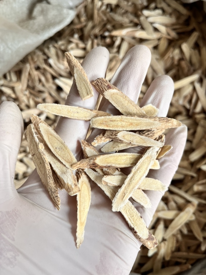 甘肃岷县黄芪柳叶片质量保证让你尝到纯正的黄芪