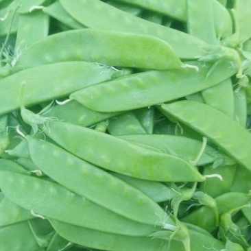 荷兰豆甜豌豆
