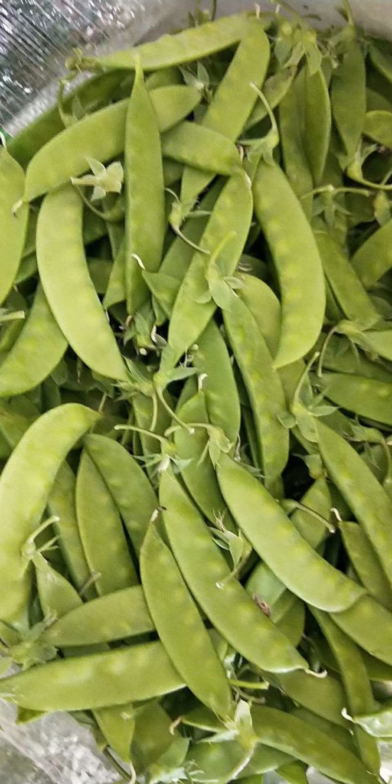 荷兰豆甜豌豆